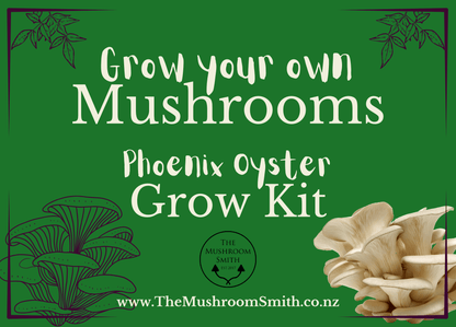 Easy Grow Kit - Oyster Mushrooms - The Mushroom Smith
