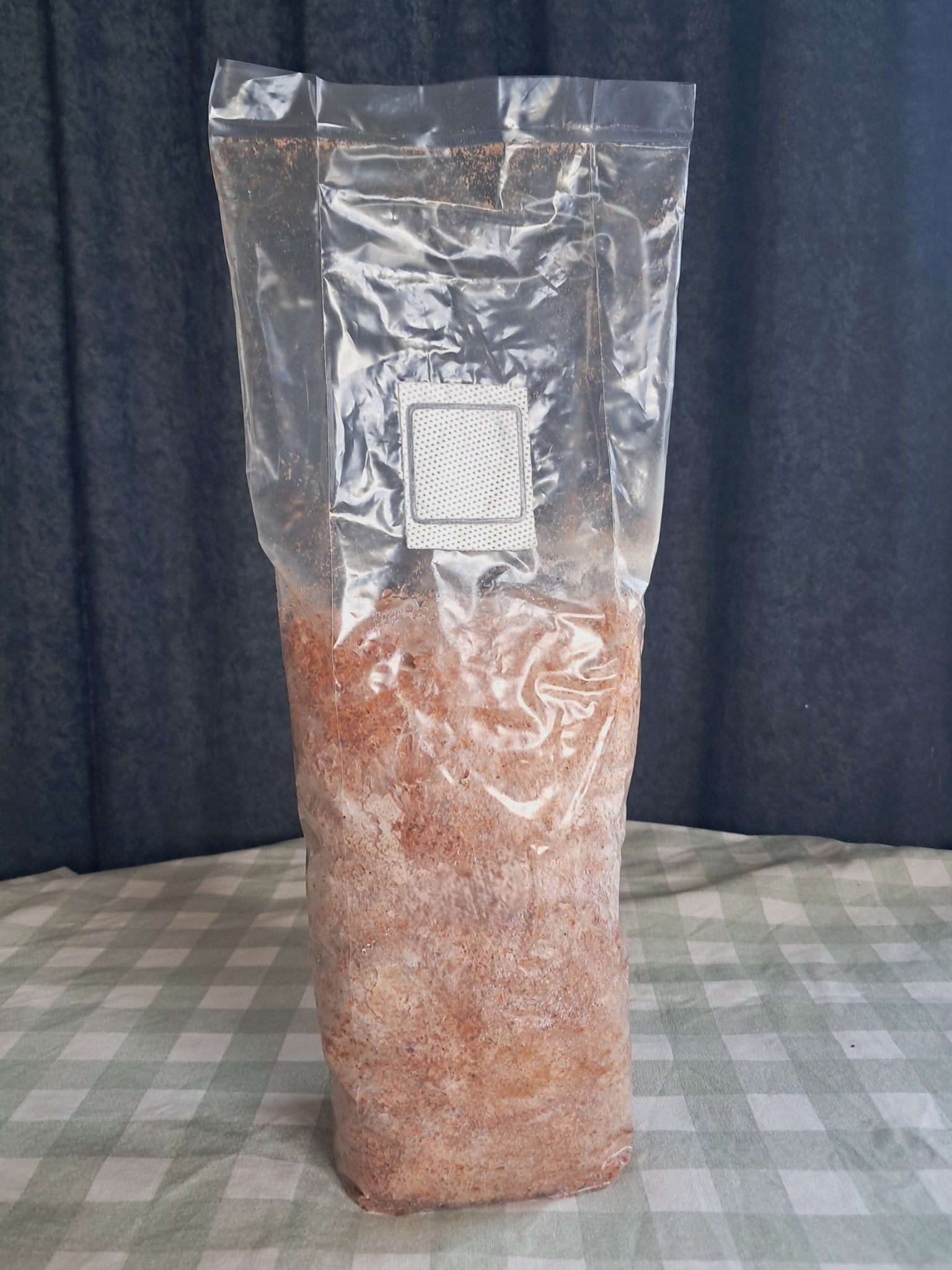 Pink Oyster Mini Grow Kit - The Mushroom Smith